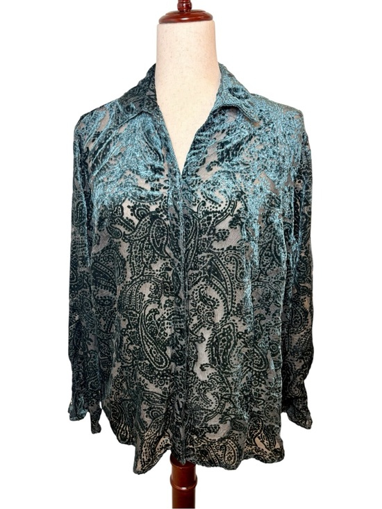 Coldwater Creek Tops - Coldwater Creek Green Sheer Burnout Velvet Paisley Blouse Boho Goth PXL
